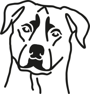 Rottweiler baş vektör