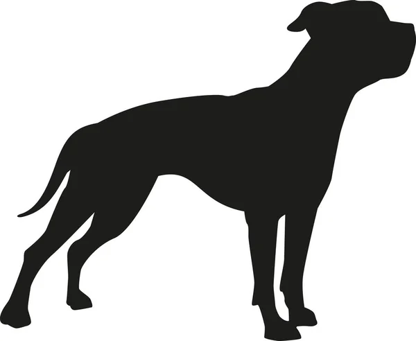 Sílhueta americana bulldog — Vetor de Stock