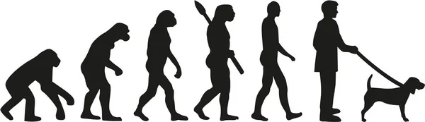 Бигл-собачья эволюция — стоковый вектор