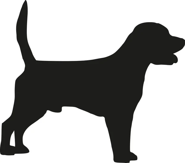 Silueta de perro Beagle — Vector de stock
