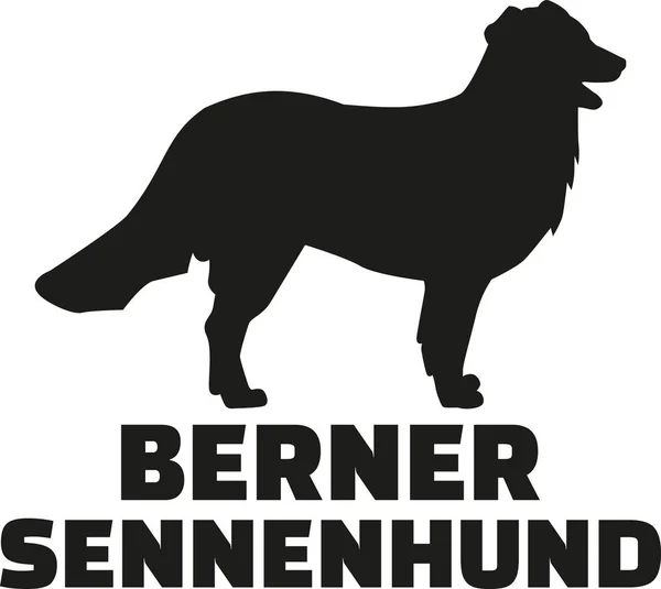 Bernese mountain silhouette with german breed name — Stock Vector