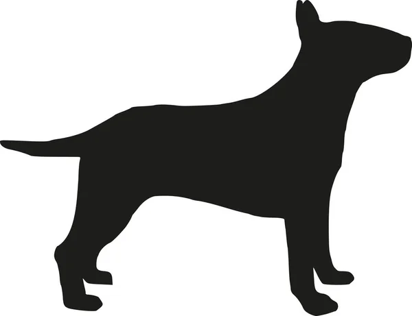 Bull terrier silhouette — Stock Vector