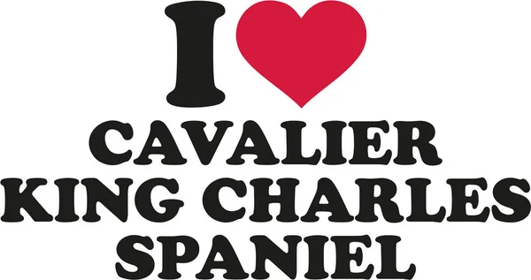 I love cavalier king charles spaniel — Stock Vector