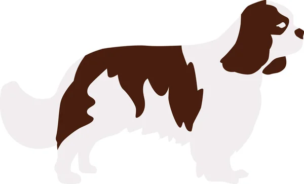 Cavalier Koning Charles Spaniel — Stockvector