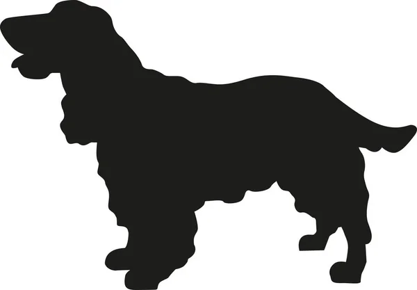 Silhueta Cocker Spaniel —  Vetores de Stock