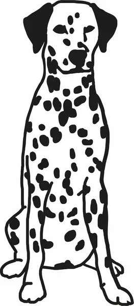 Sitting Dalmatian dog — Stock Vector