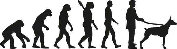 Вектор эволюции Добермана — стоковый вектор