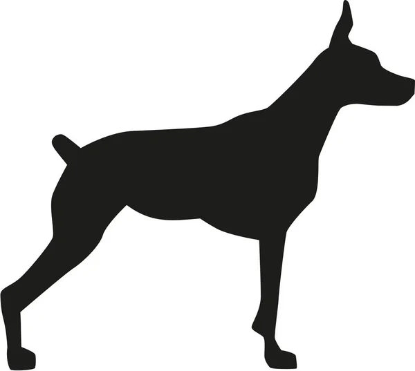 杜宾犬的剪影矢量 — 图库矢量图片