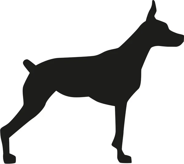 Vetor de silhueta Doberman — Vetor de Stock