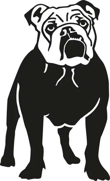 Engelska bulldog hund — Stock vektor