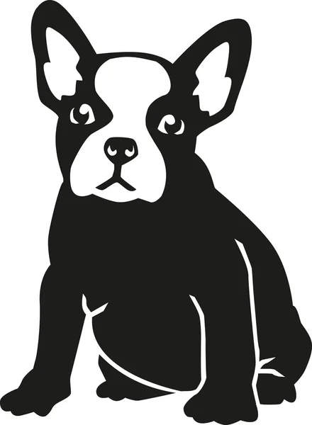 Sitter fransk bulldogg — Stock vektor