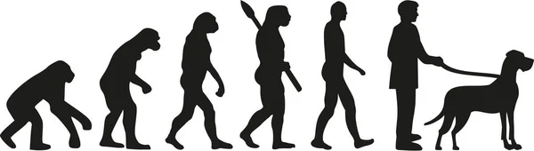 Německá doga evoluce — Stockový vektor