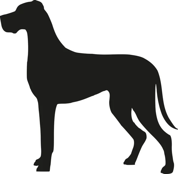 Great dane silhouet — Stockvector