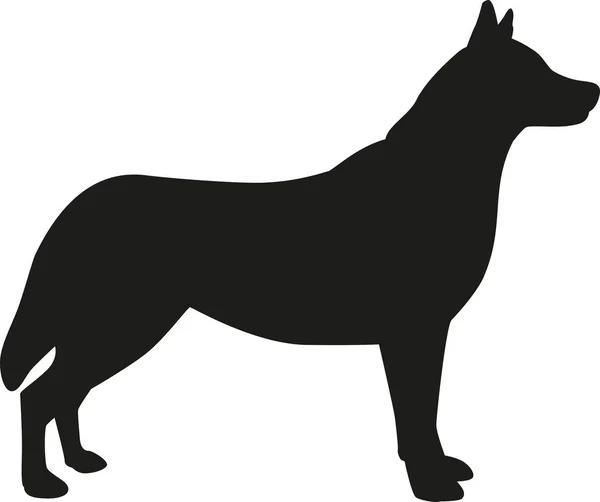 Silhueta de cão Husky — Vetor de Stock