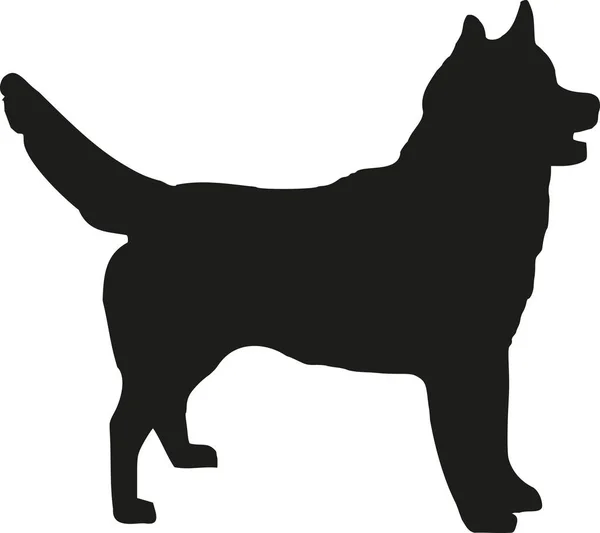 Husky silhouette vector — Stock Vector