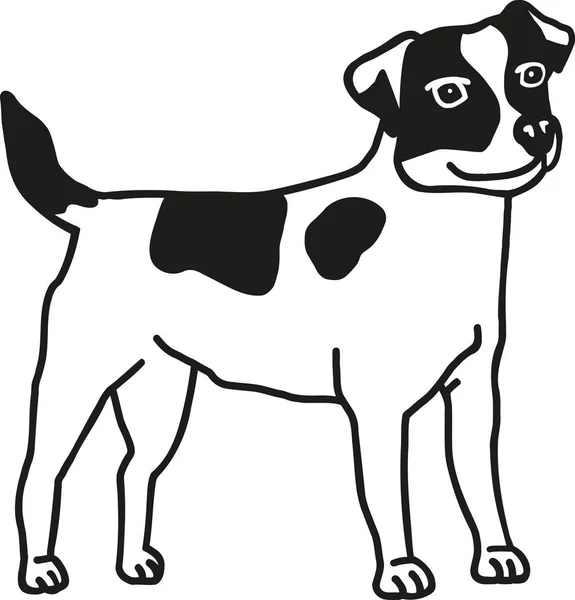 Jack russell terrier — Stock vektor
