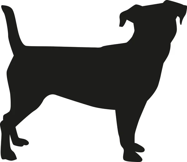 Silueta Jack Russell Terrier — Vector de stock