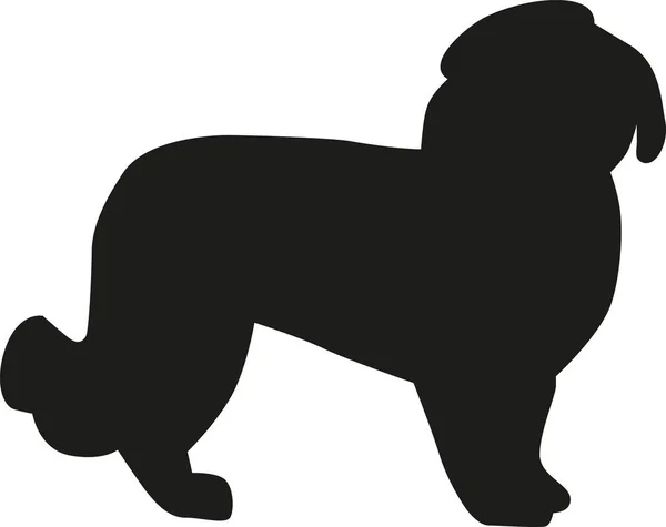 マルチーズ犬のシルエット — ストックベクタ