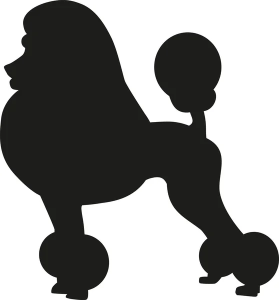 Poodle silhouette vector — Stock Vector © miceking #139149490