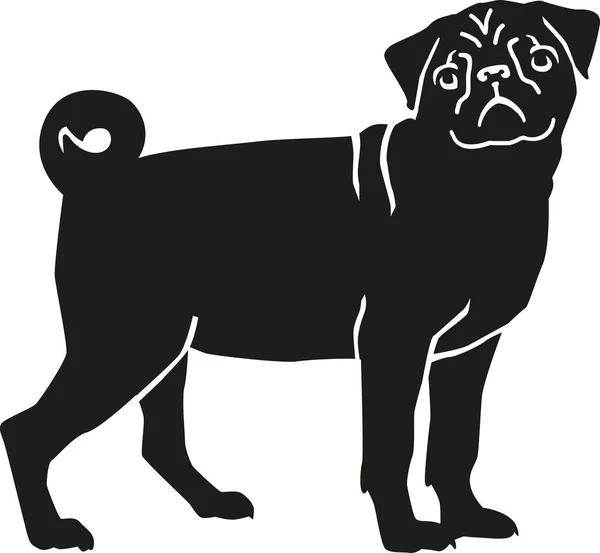 Lindo vector pug — Vector de stock