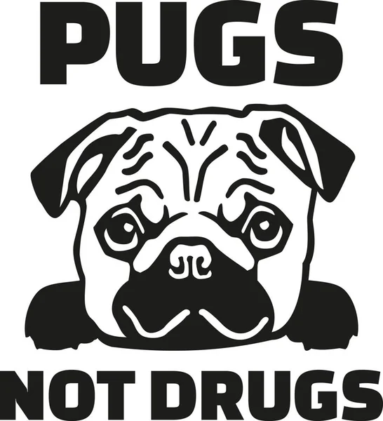 Funny pug saying - Pugs not drugs — Stock Vector
