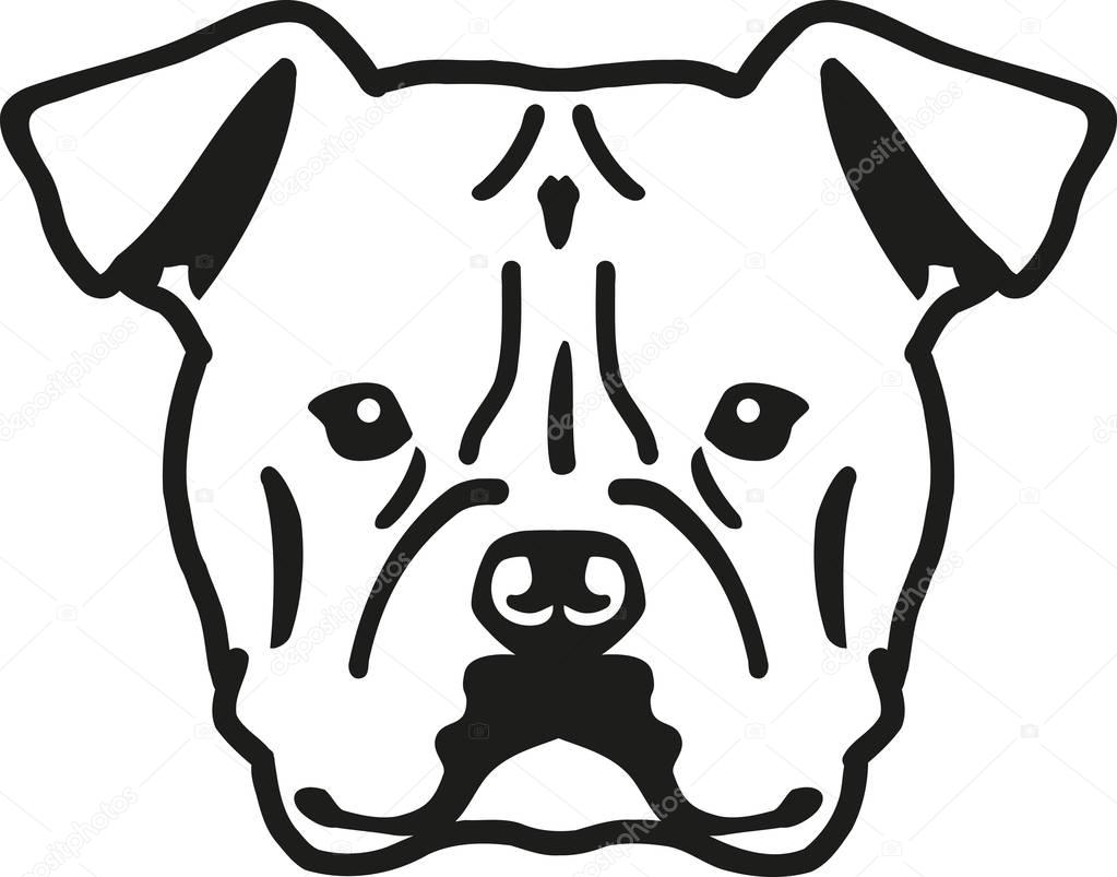 American Bulldog head — Stock Vector © miceking #139144856