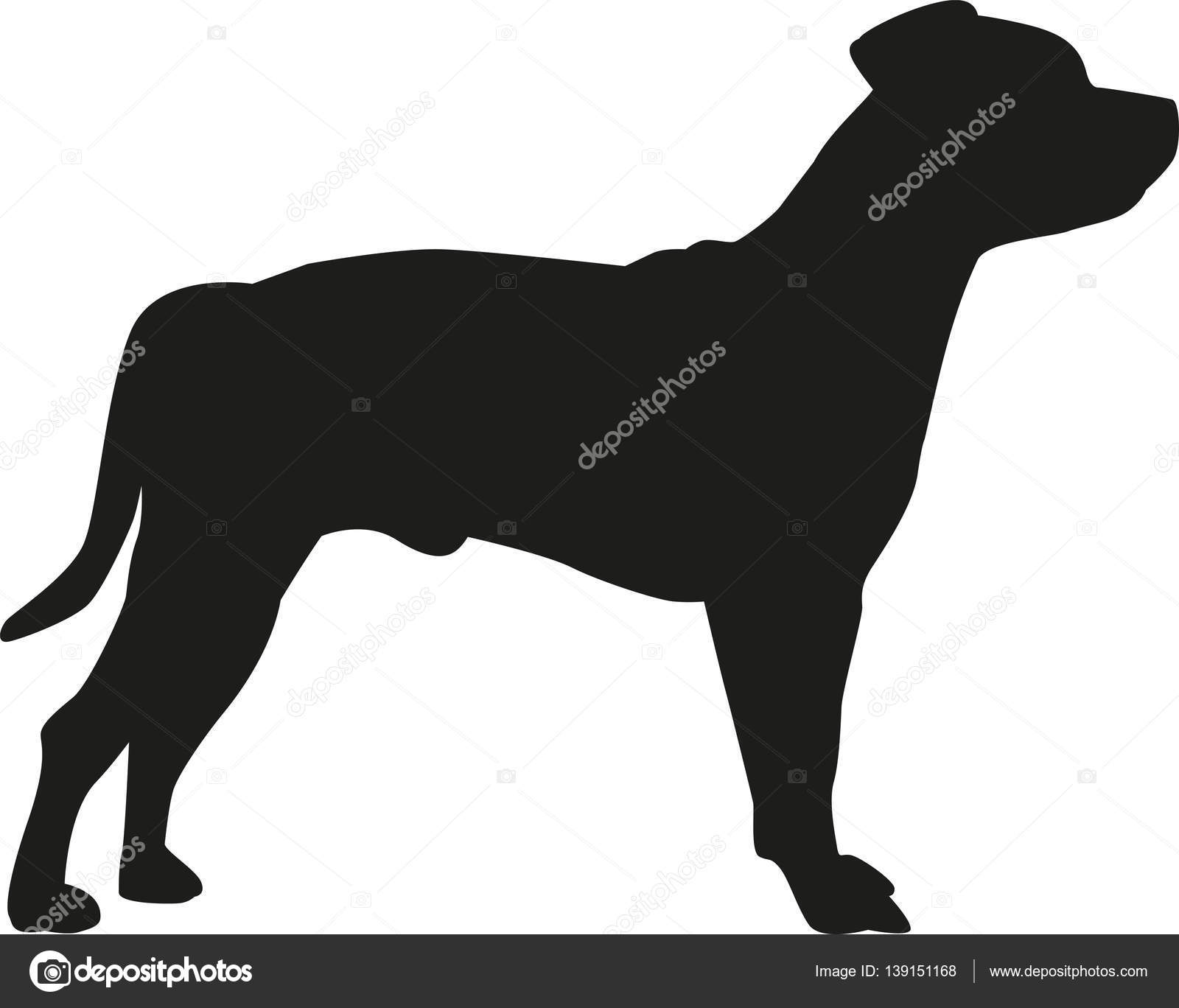 Free Free 242 Staffordshire Bull Terrier Svg SVG PNG EPS DXF File