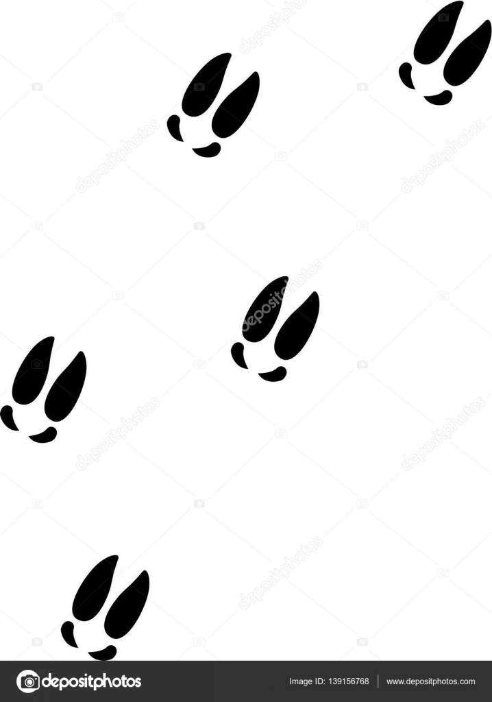 Moose tracks vector — Stock Vector © miceking #139156768