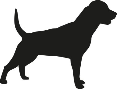 Rottweiler köpek siluet