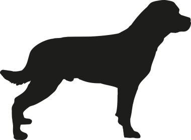 Rottweiler siluet vektör