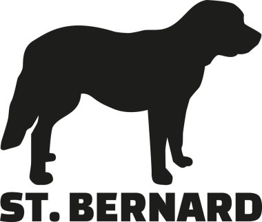 St. Bernard köpek doğurmak adı ile