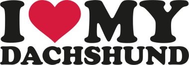 Dachshund 'umu seviyorum.