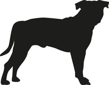 Staffordshire Terrier siluet