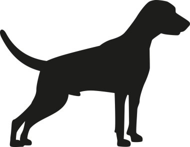 Weimaraner siluet vektör