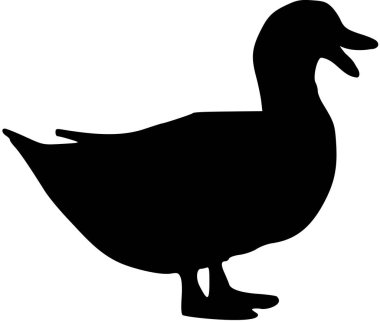 Ördek siluet vektör