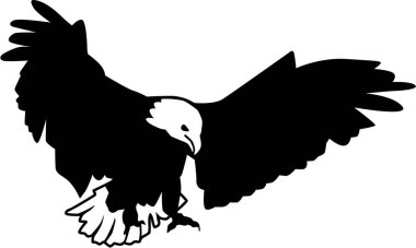 Kel kartal predator