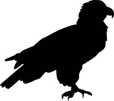 Kartal siluet duran