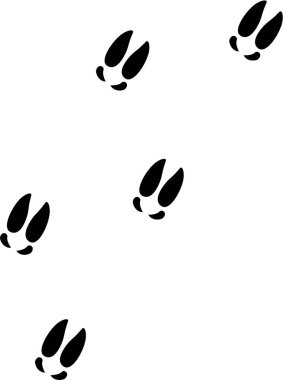 Geyik izleri vektör