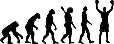 Boksör evrim şampiyonu