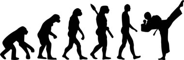 Karate evrim vektör