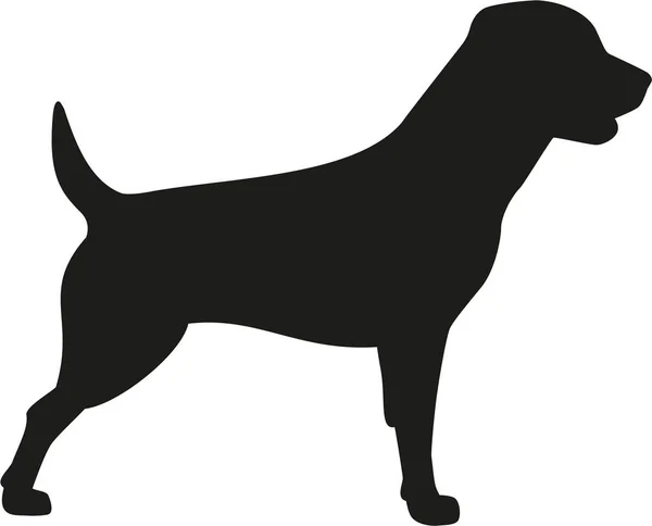 Icona cane Rottweiler — Vettoriale Stock