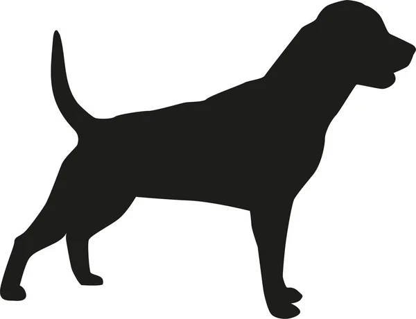 Rottweiler dog silhouette — Stock Vector