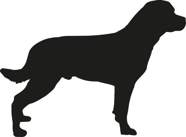 Rottweiler silhuett vektor — Stock vektor