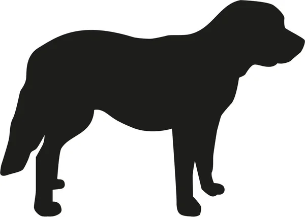 San Bernardo perro de pie — Vector de stock