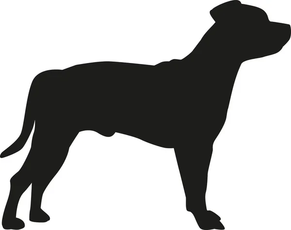 สแตฟฟอร์ดเชียร์ Bull Terrier สีลูเอท — ภาพเวกเตอร์สต็อก