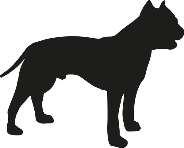 Silhouette Staffordshire Bull Terrier — Image vectorielle