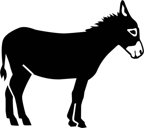 Real Donkey vector — Stock Vector