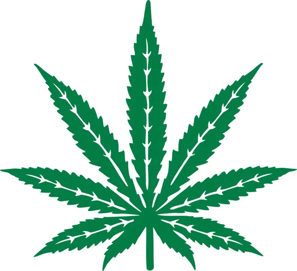 Feuille de marijuana avec détails — Image vectorielle