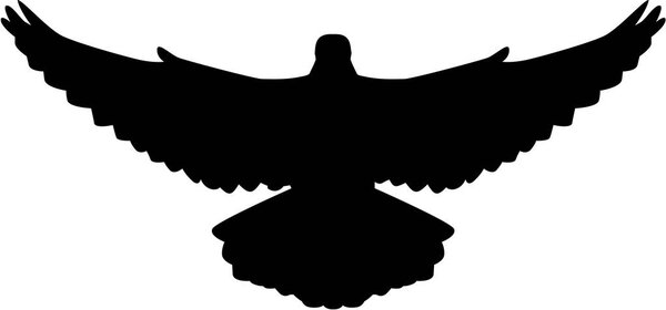 Dove flying vector