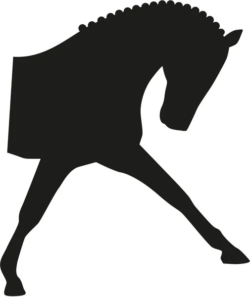 Paard dressuur hoofd — Stockvector